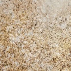 (Set Of 2) 22" X 28" Glimmer Hand Brush Embellished Canvas Gold -Madison Park Shop GUEST 36f29482 83ec 4099 9ccb 6dba2b46c200