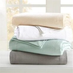 Madison Park MP51N-5173 King Size Blanket; Ivory